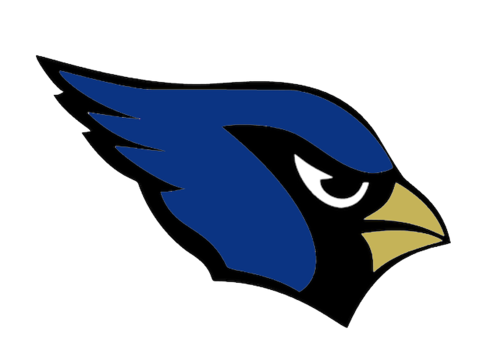 Blue Jay Head 2.png
