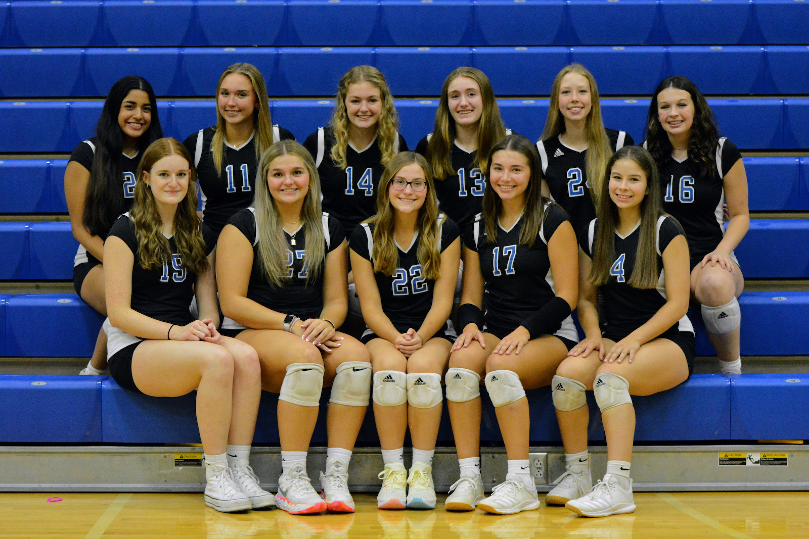 Columbus North volleyball postseason awards announced cover photo