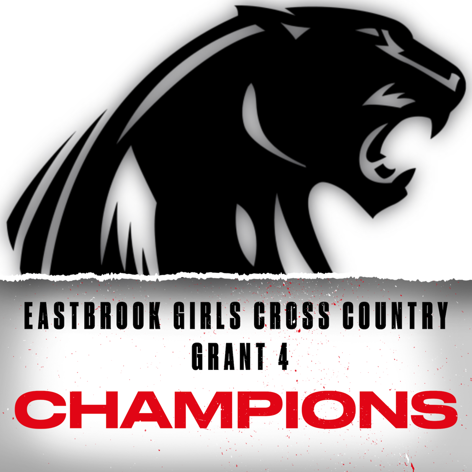 Girls Cross Country Team is Grant 4 Champs cover photo