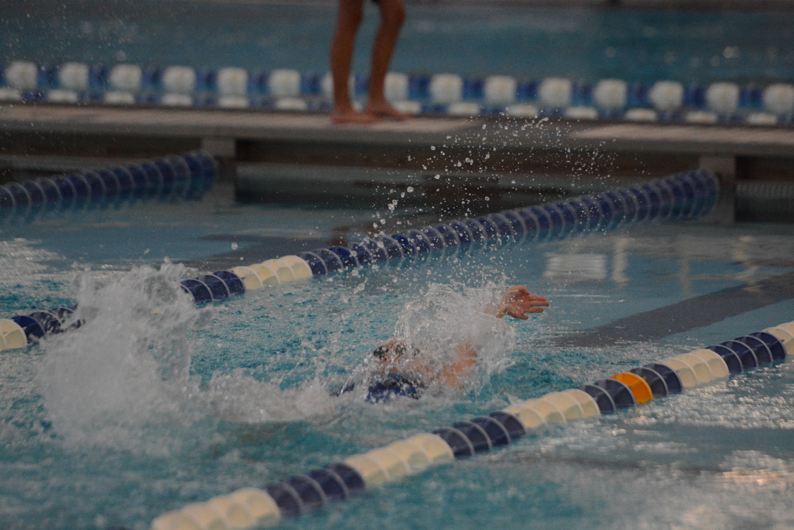 Swimming vs Southport 12/1/22 gallery cover photo