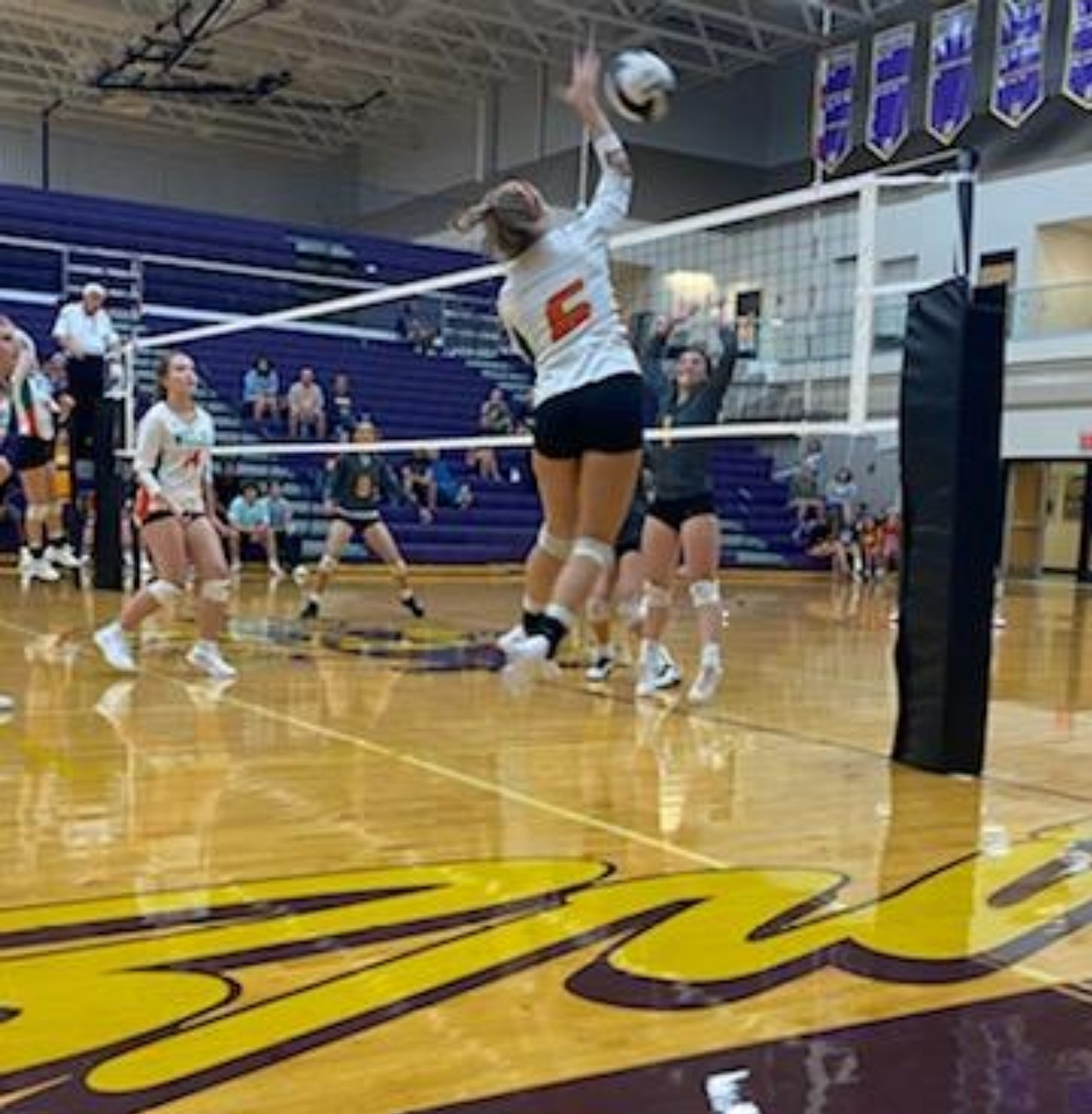 Volleyball Puts up a Good Fight at Hobart cover photo