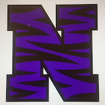Northwestern MS-HS Logo