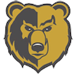 Shelbyville High School  Logo
